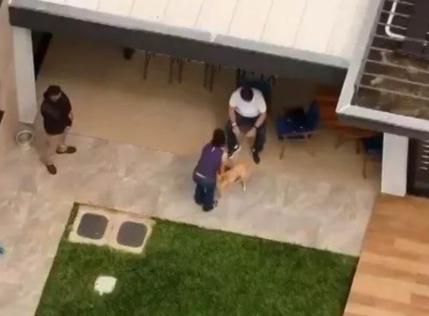 prisão domiciliar de Bolsonaro