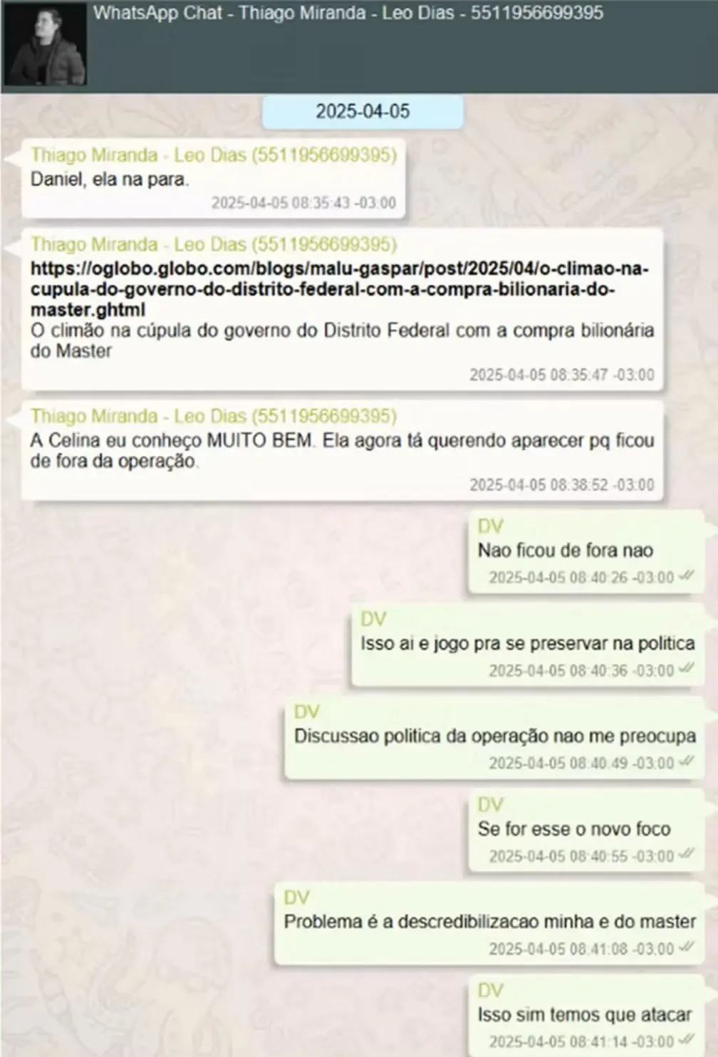 Celina Leão Banco Master
