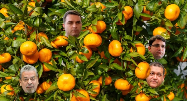 laranjas Flávio Bolsonaro Willer Tomaz